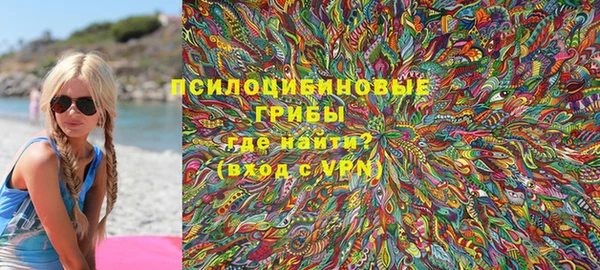 тгк Арсеньев