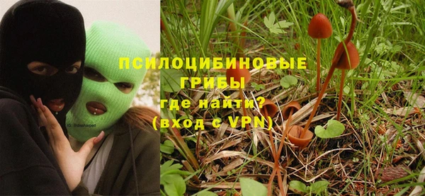 тгк Арсеньев